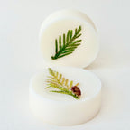Winter Forest Wax Melt