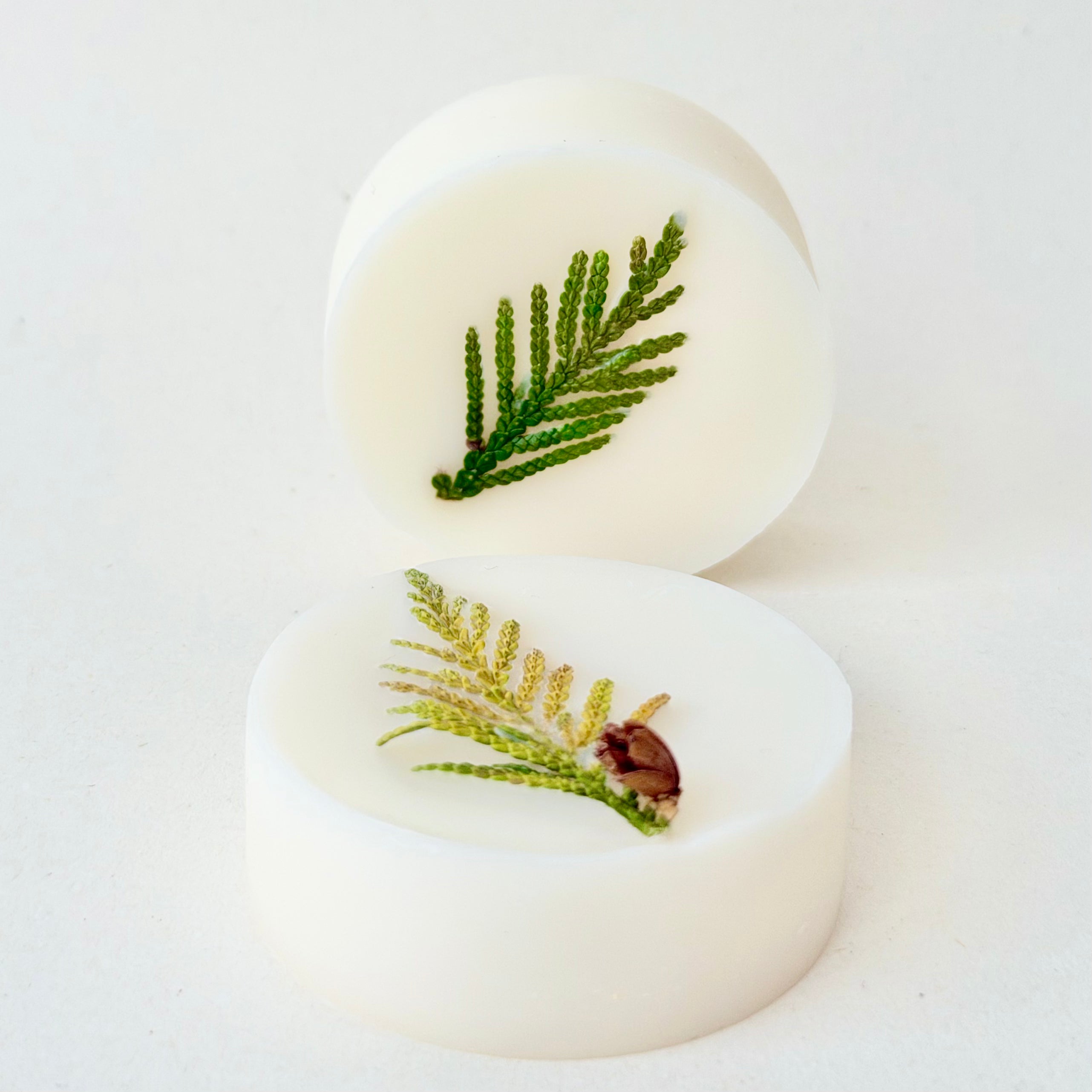 Winter Forest Wax Melt