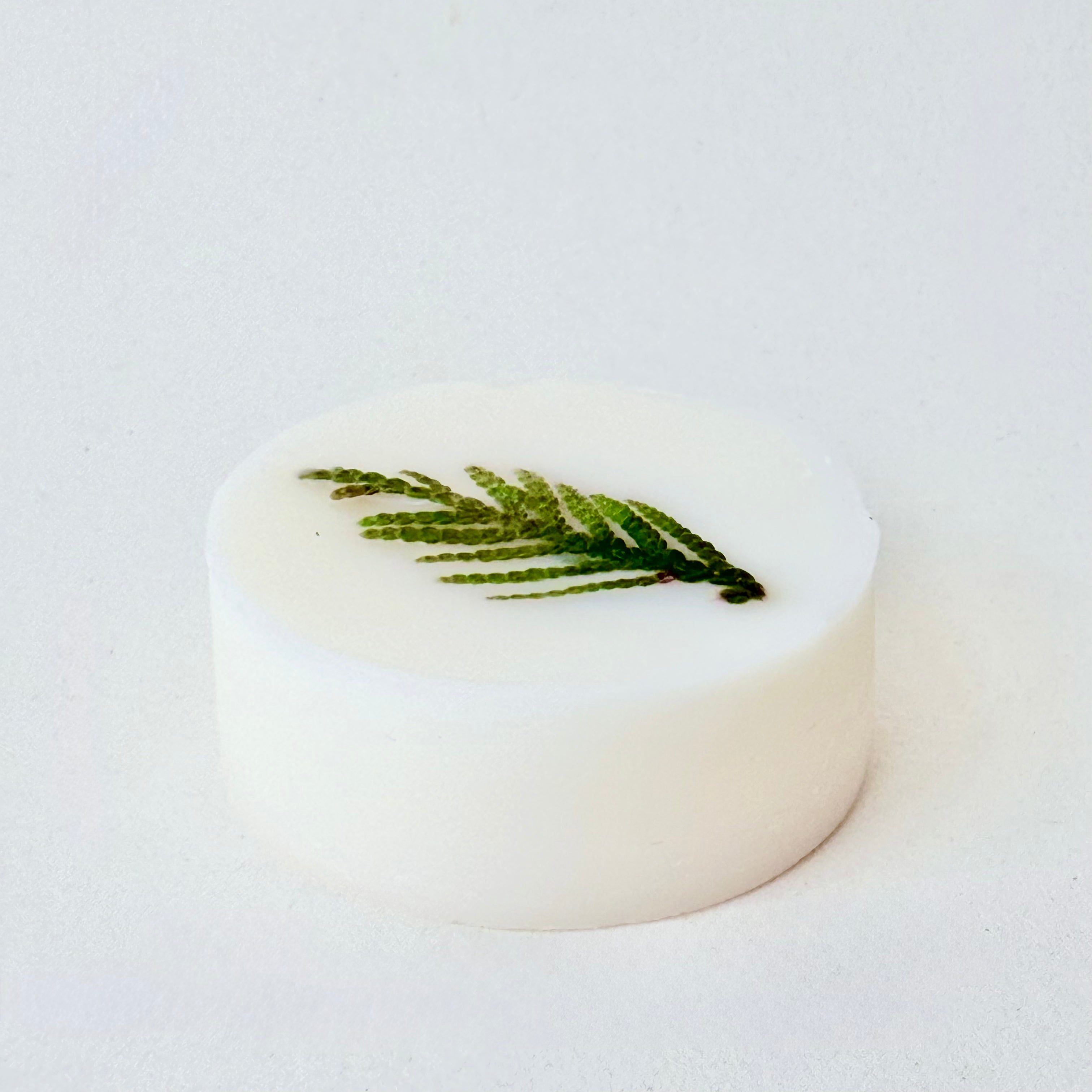 Winter Forest Wax Melt