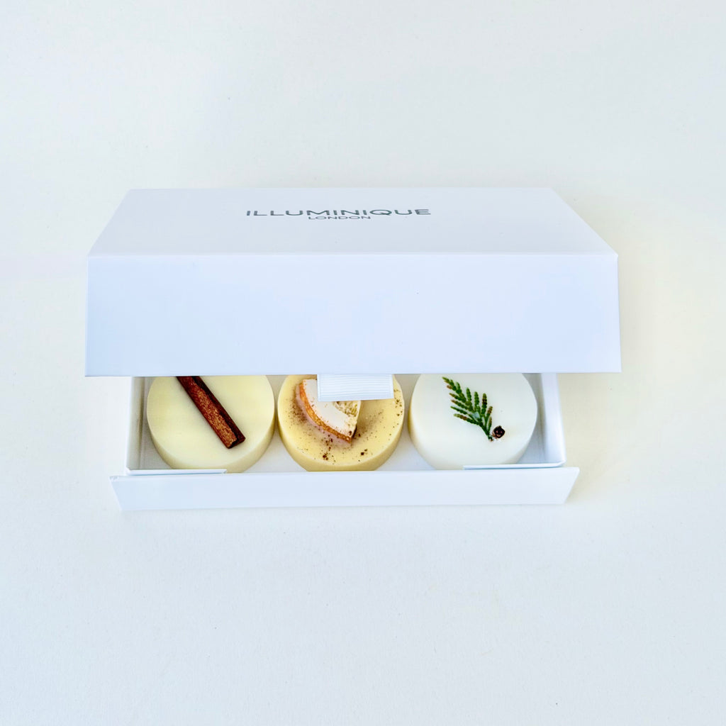 Winter Collection Wax Melt Gift Set